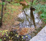 view of river