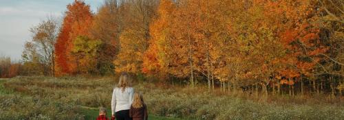 woman and two children walking on a path in the fall