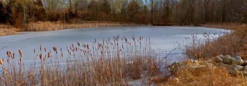 snow covered pond