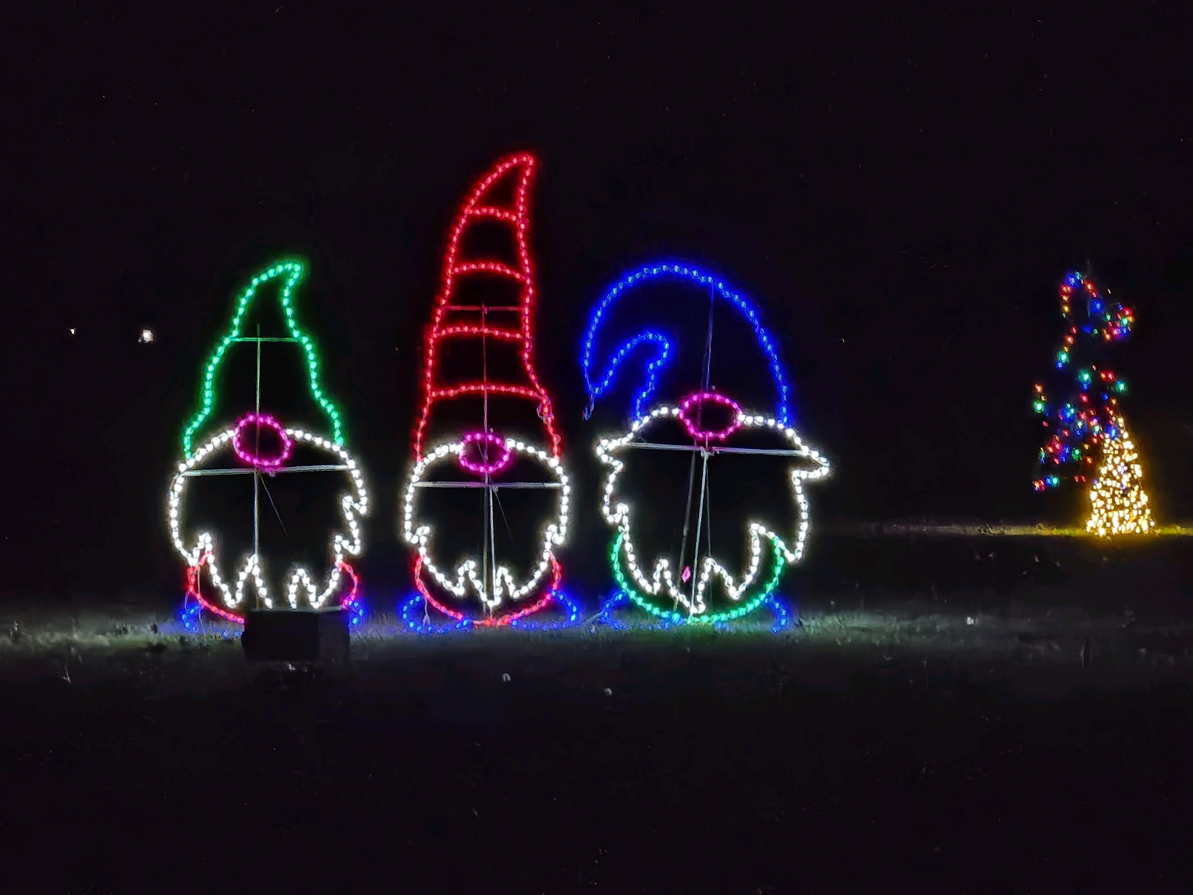 lighted gnomes