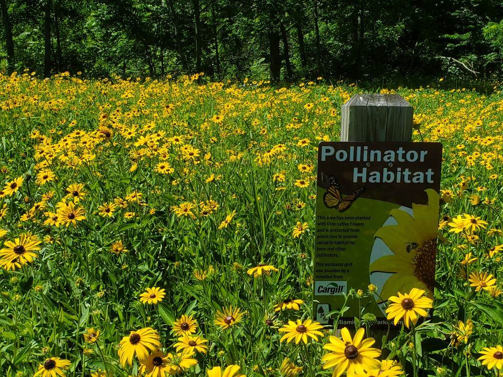 pollinator habitat