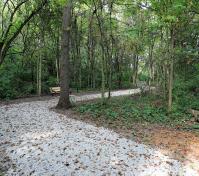 Trail in woods