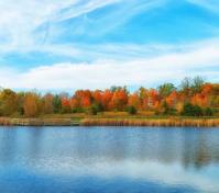 pond in fall by Brian Rice