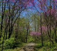 GF Rangeline Road Trail