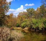 Lost Creek creek by Robert Japikse