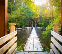 Suspension Bridge Wyatt