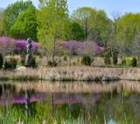 HUNP Pond Spring Unity of Man Sculpture