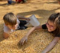 child playing in corn pit