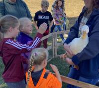 Children looking at a duck