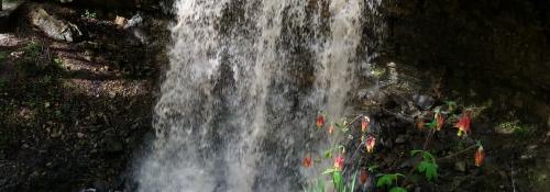 Maureen Tayse falls photo