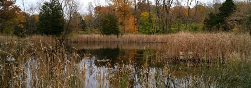 Pond fall Robert Japikse