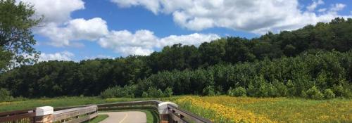 Bridge by Jody Liddy