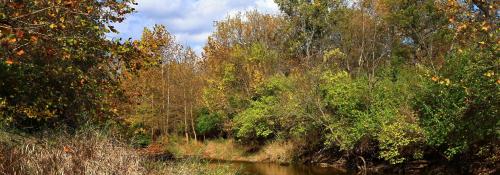 Lost Creek creek by Robert Japikse