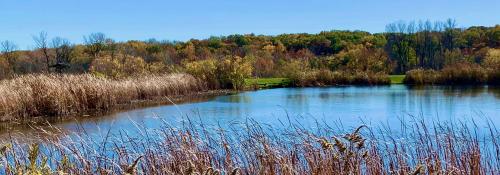 Overlook pond