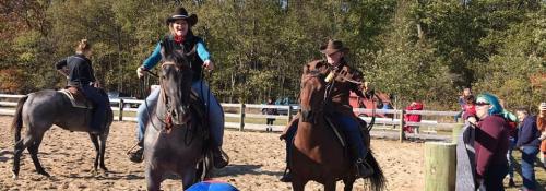 people playing ball on horses