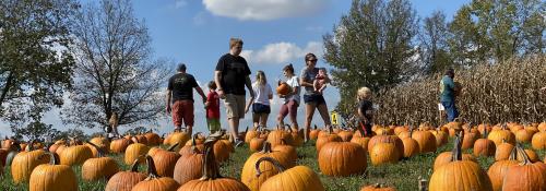 pumpkin patch