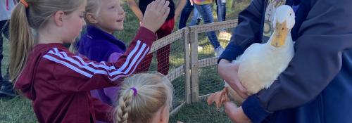 Children looking at a duck